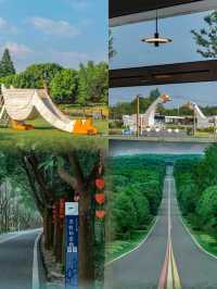 江浙滬小眾自駕線路溧陽1號公路美哭了趕緊收藏