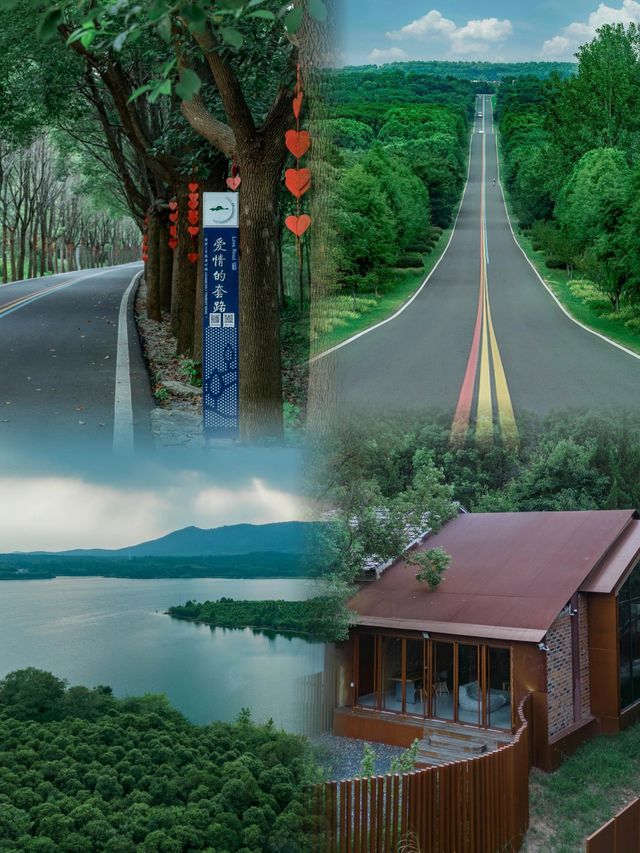 江浙滬小眾自駕線路溧陽1號公路美哭了趕緊收藏