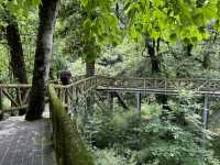 龍苍溝國家級森林公園