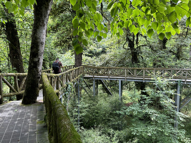 龍苍溝國家級森林公園
