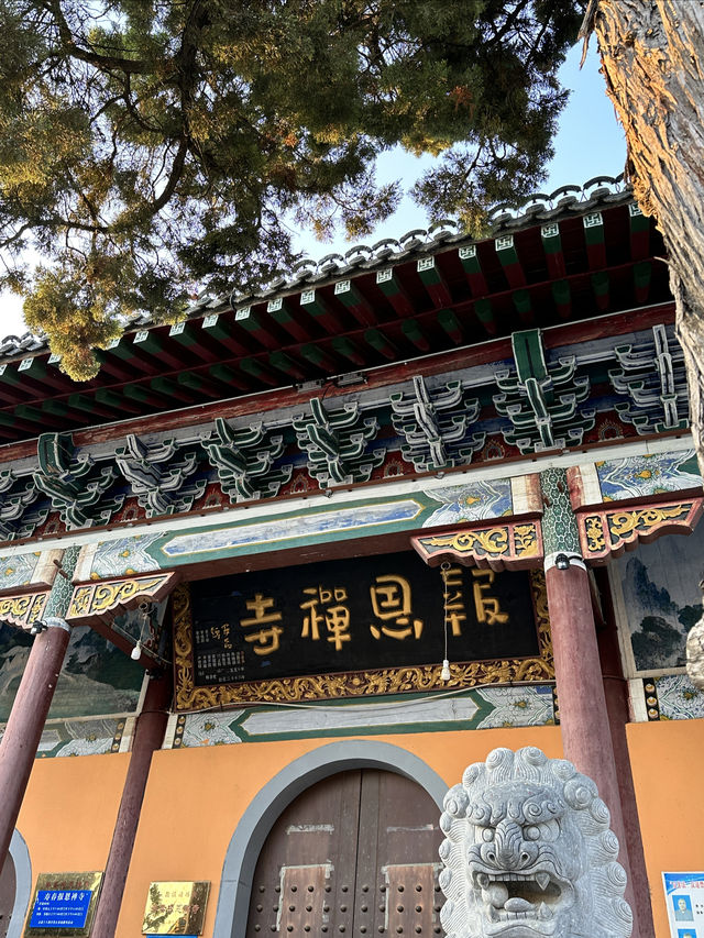 壽縣24h | 城牆上是歷史城牆下是煙火