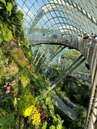 Must visit Mind-blowing Cloud Forest Singapore 🇸🇬 