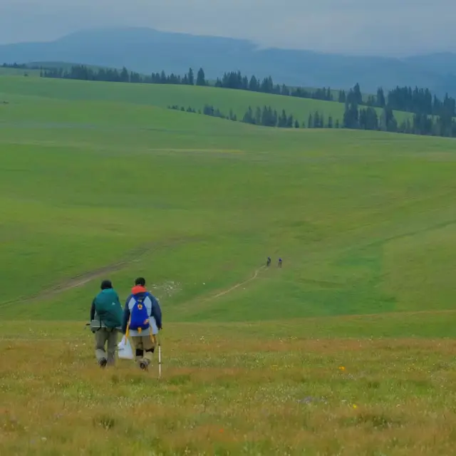Check-in at Kalajun Grassland in Xinjiang