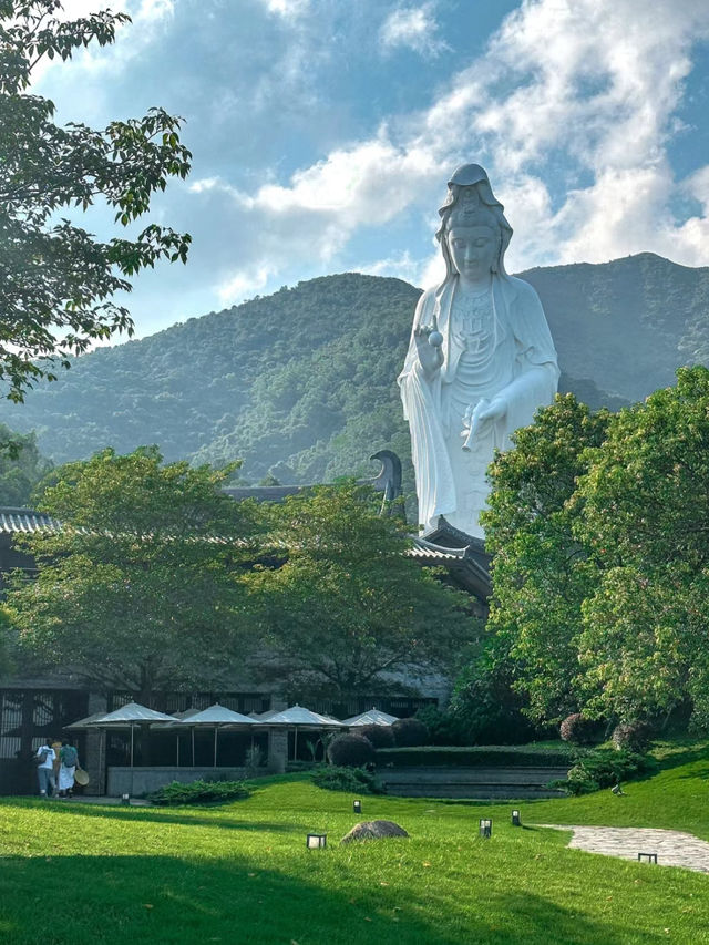 【香港慈山寺】獨特景點🏖️，每天僅供400名額🔥🔥
