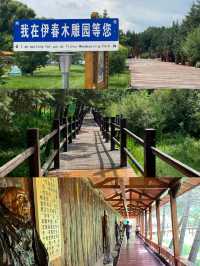 伊春全境游