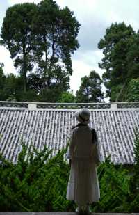 大理小眾旅拍絕佳勝地|巍寶山