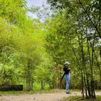Hidden Hiking Trail in the city 🌳Taman Tugu Kuala Lumpur