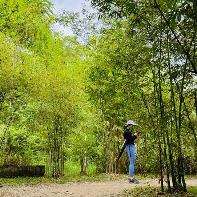 Hidden Hiking Trail in the city 🌳Taman Tugu Kuala Lumpur