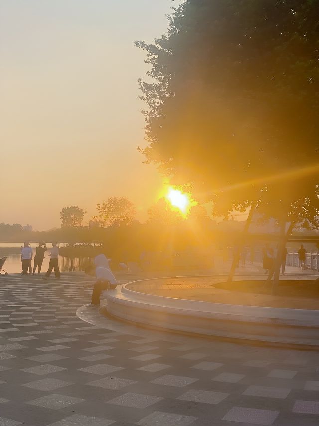 允許現在你還不知道這個公園
