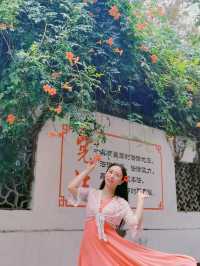 盛開的凌霄花,驚艷了整個夏天。