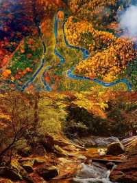 人生建議：一定要在秋天去一次光霧山看紅葉！
