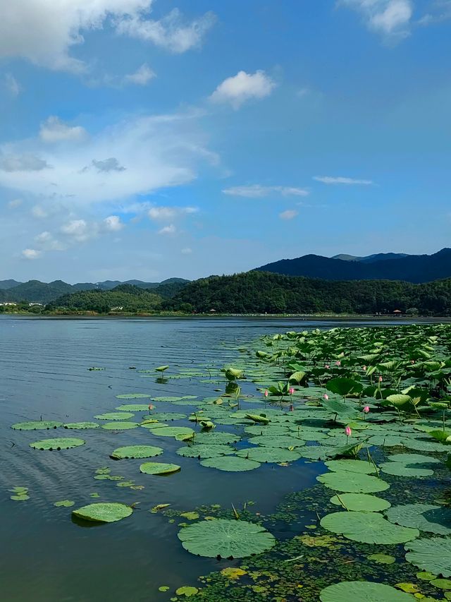 寧波錢湖祕境。