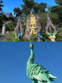 景亢村——寶藏傣族村寨。