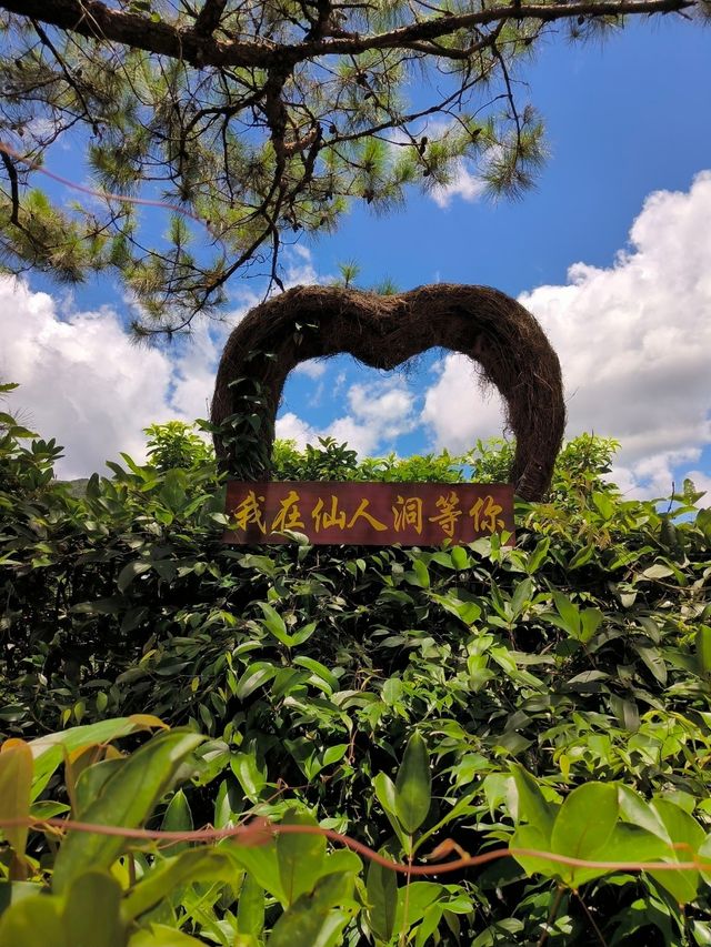 吸氧吸負離子好地方，避暑好去處！