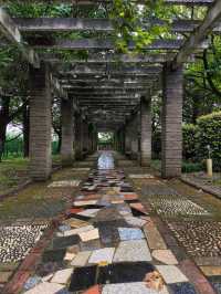 鳳凰溝古村遊：茶海櫻花，田園美食之旅。