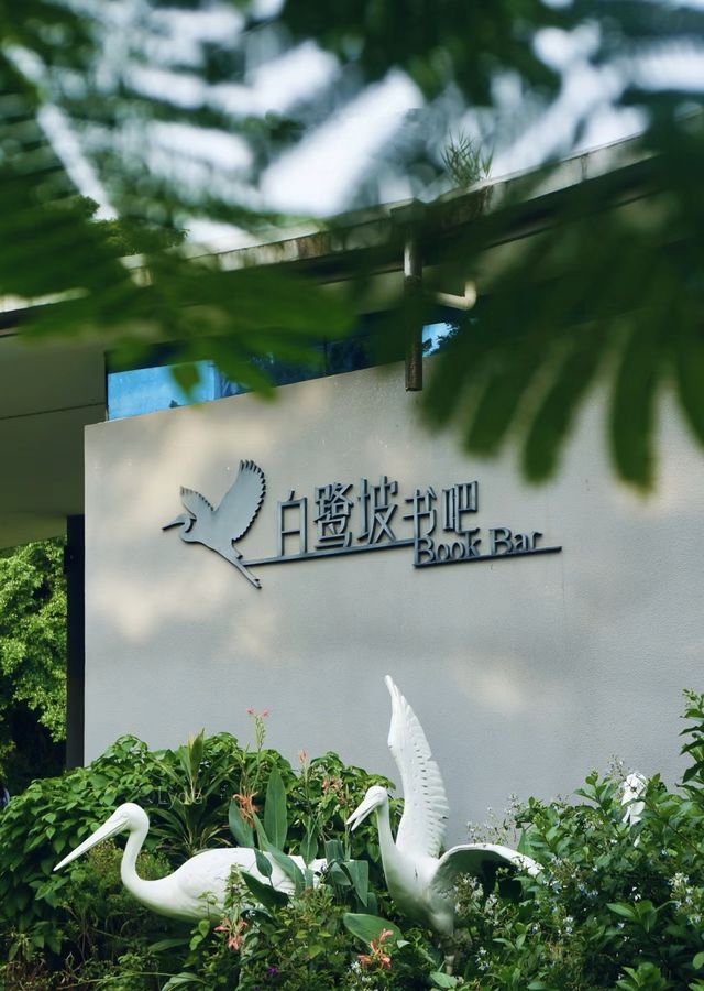 深圳灣公園⛲️怎么玩❓—-超詳細攻略奉上📜