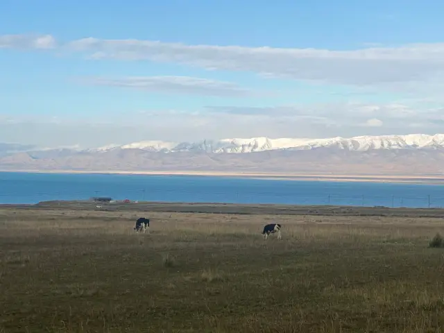 Qinghai Lake | A place that makes your eyes speak!!。
