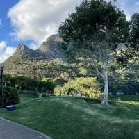 Cape Wine Estate 🍷🌿