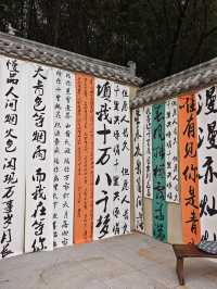 推薦理由：生活美學，假期可以放鬆的地方 遊玩攻略：隨時都可以去，設有免費停車場 住宿攻略：提供住宿。
