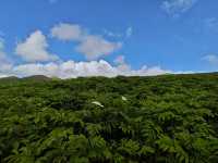 藍天白雲，陽光普照。山花浪漫，河水清清。