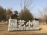 北京遊之四：冬天的世園公園。