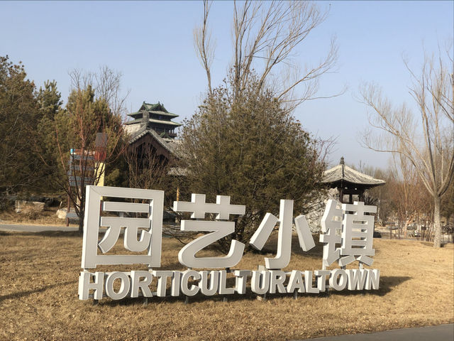 北京遊之四：冬天的世園公園。