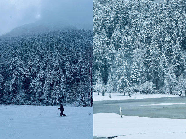 11.4實況 | 下雪的畢棚溝美到 Next level。