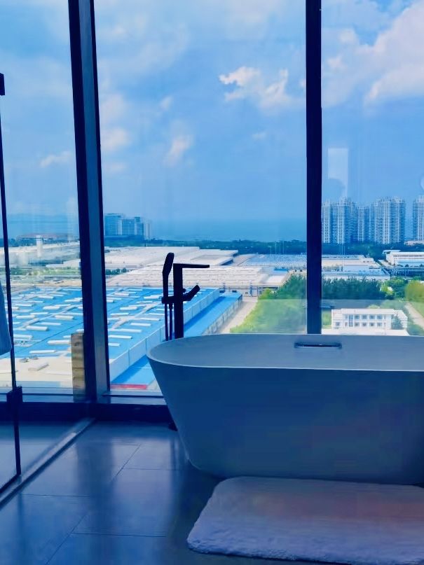 新開業的五星級酒店。
