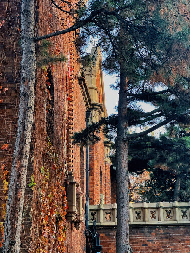 長春松苑賓館｜打卡秋季絕美取景地。