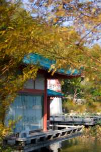 桂林西山公園 | 城市中的自然寶藏。