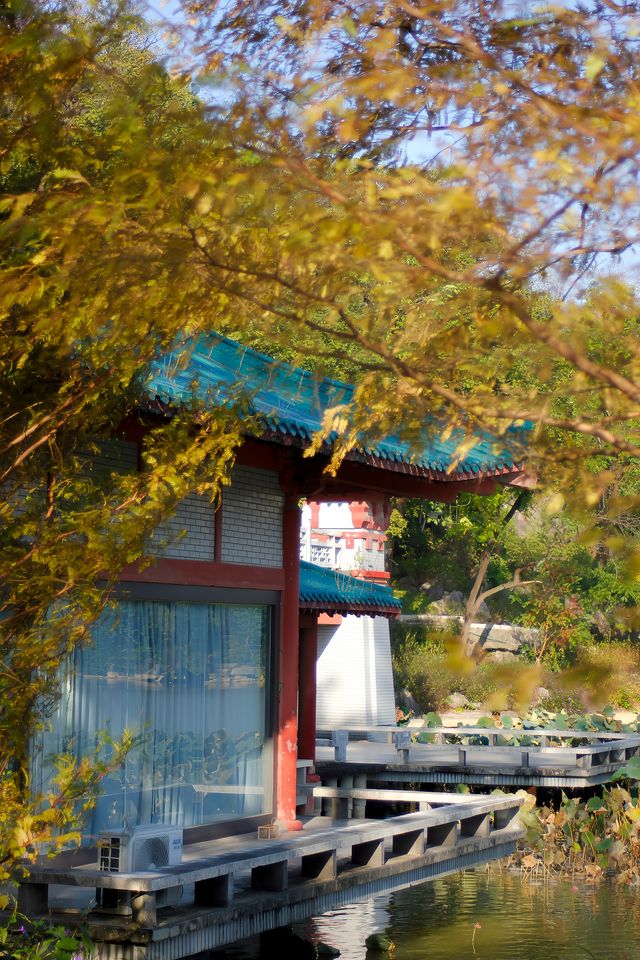 桂林西山公園 | 城市中的自然寶藏。