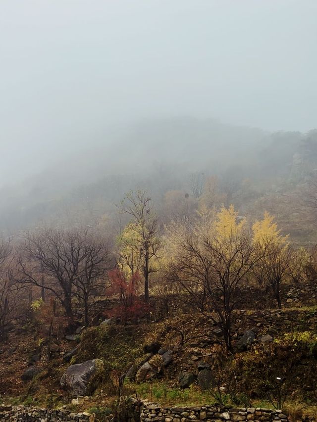 沂蒙仙境，深秋雨後的溫柔邂逅。。
