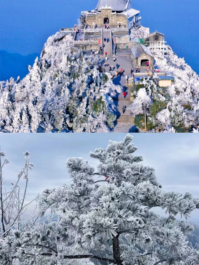 不是哈爾濱去不起，是南嶽衡山更有性價比。