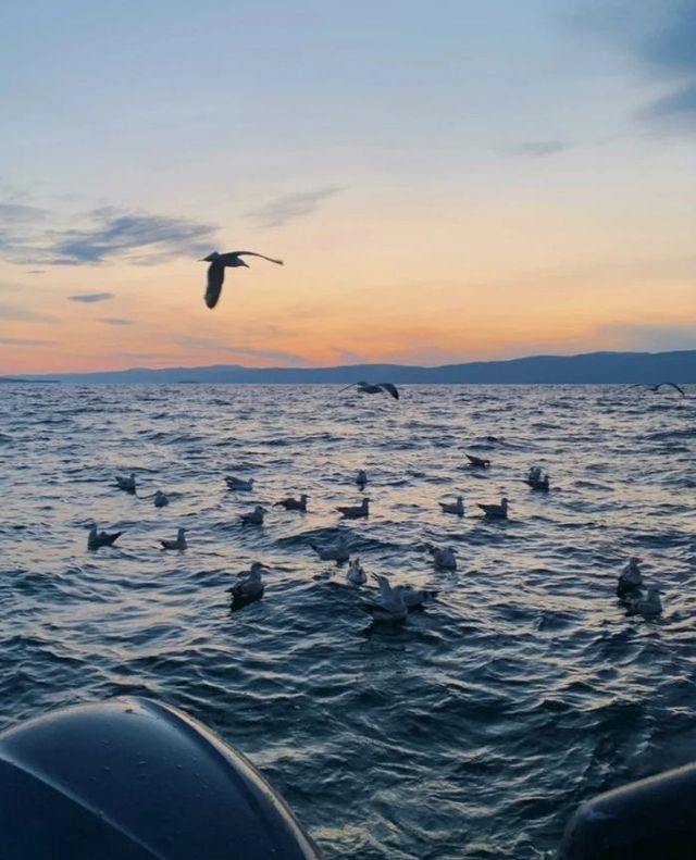 深秋貝加爾湖｜奧爾洪島北線與海鷗島。