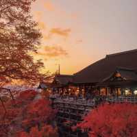 冬の伊根，京都 2h 直達，chill 爆的海邊小城…❄️