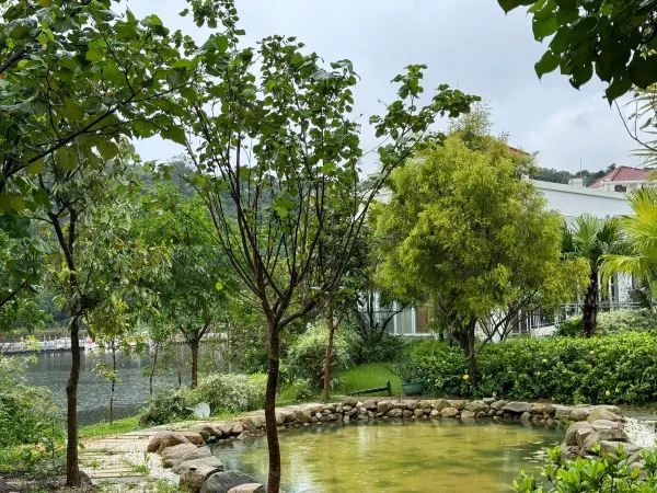 100個香港好去處之一：大埔金鷺湖餐廳
