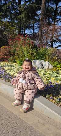 鄭州-碧沙崗公園秋季親子一日遊