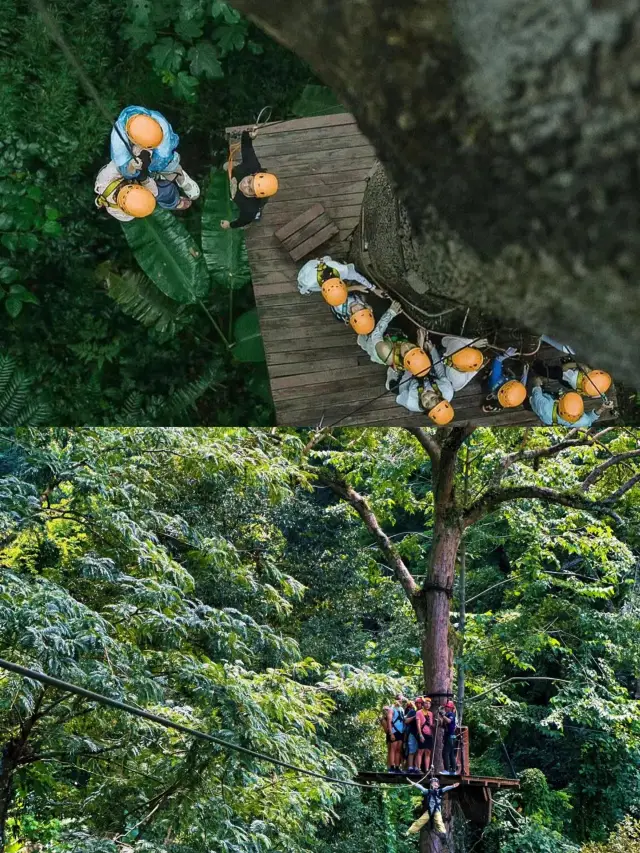普吉島叢林飛躍探險之旅