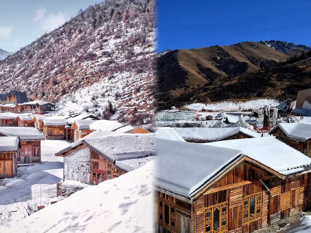 冬遊四川|鷓鴣山滑雪攻略|狗狗可入園景區