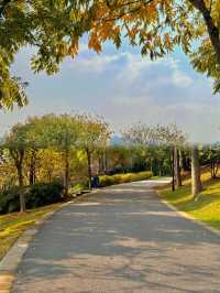 我宣布！這裡是武漢秋天最美的公園！