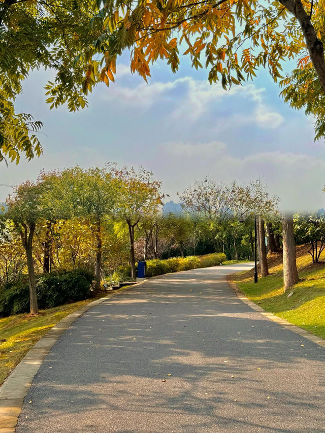 我宣布！這裡是武漢秋天最美的公園！