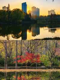 濟南森林公園，小朋友的天堂！！