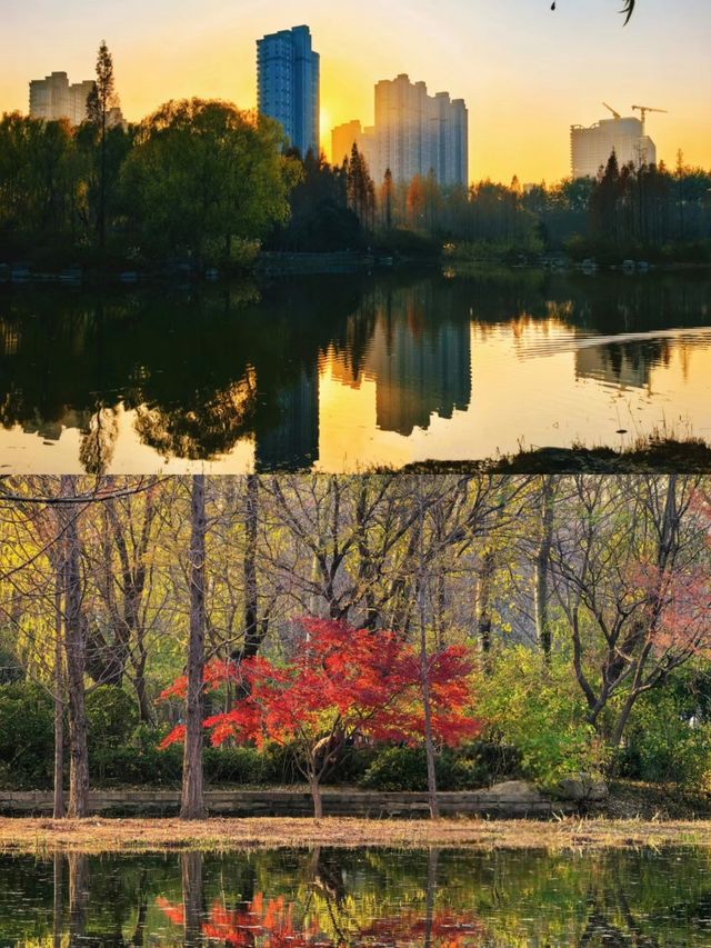 濟南森林公園，小朋友的天堂！！