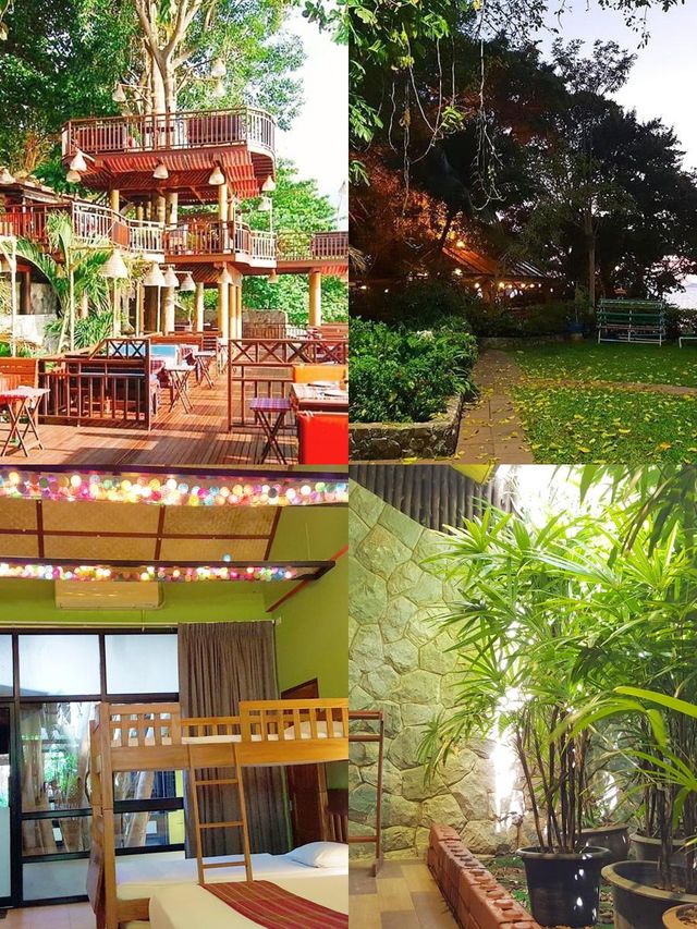 鳥與蜂度假村 | 芭堤雅自然天堂 