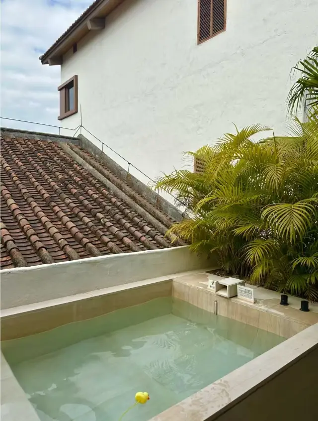 1.5-hour drive from Guangzhou, hidden rice field hot spring! 