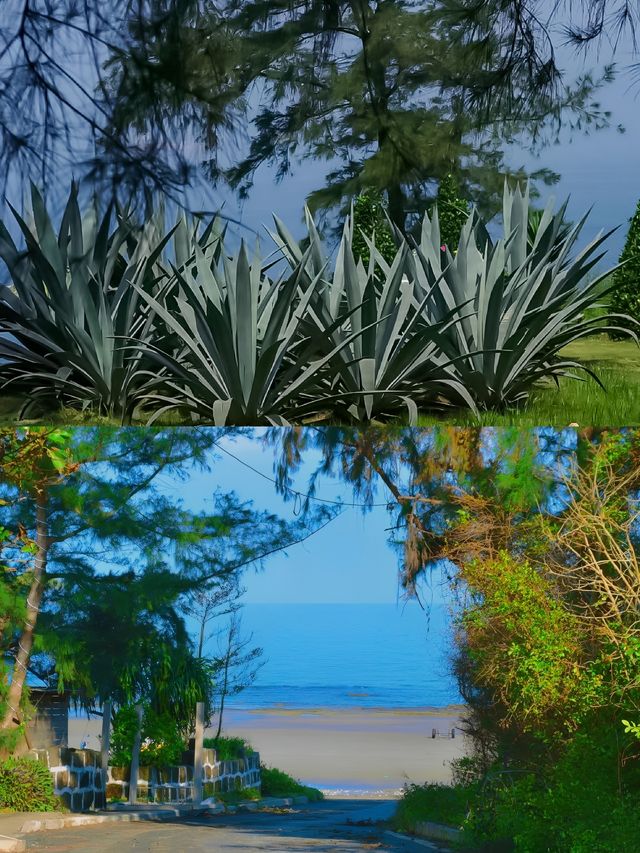 北海浮潛攻略