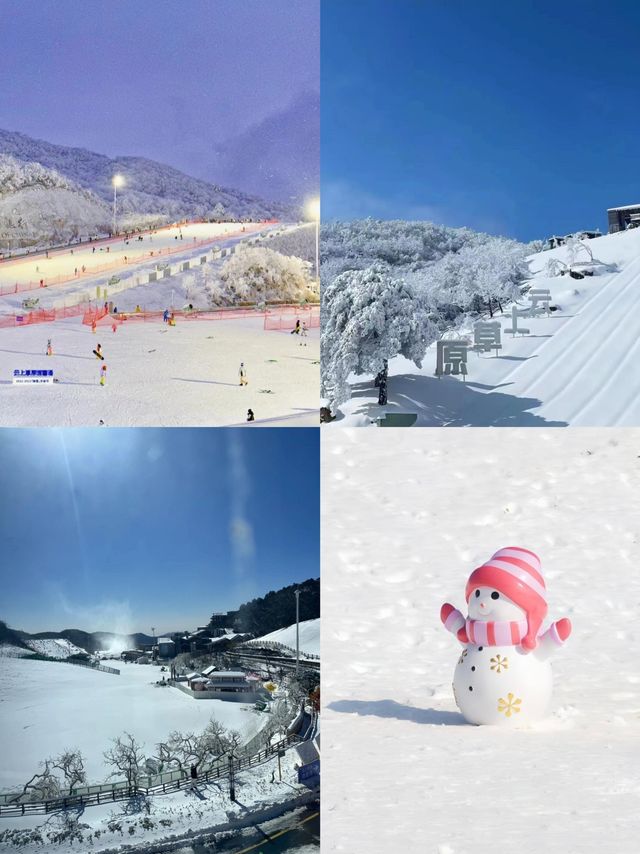 雲上草原滑雪秘笈：老手的三年實戰心得