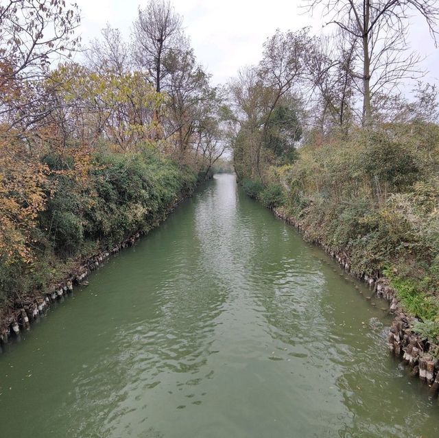冬日不一樣的西溪湿地公園