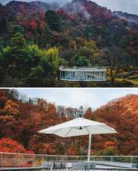 秦嶺山腳下的文藝隱世級民宿