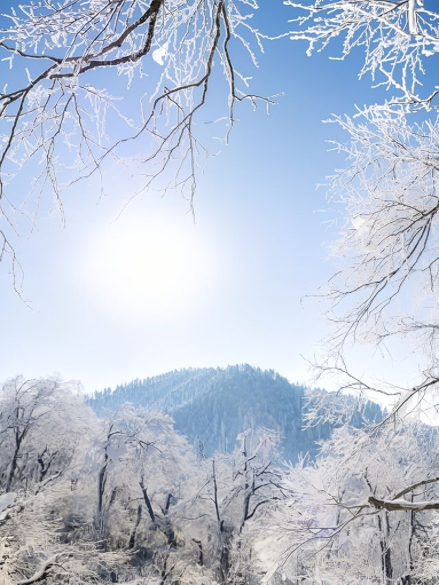 滑雪愛好者必看王崗坪暢滑，君瀾賞貢嘎，絕